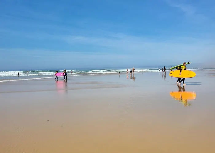 Sevservices A La Campsite *